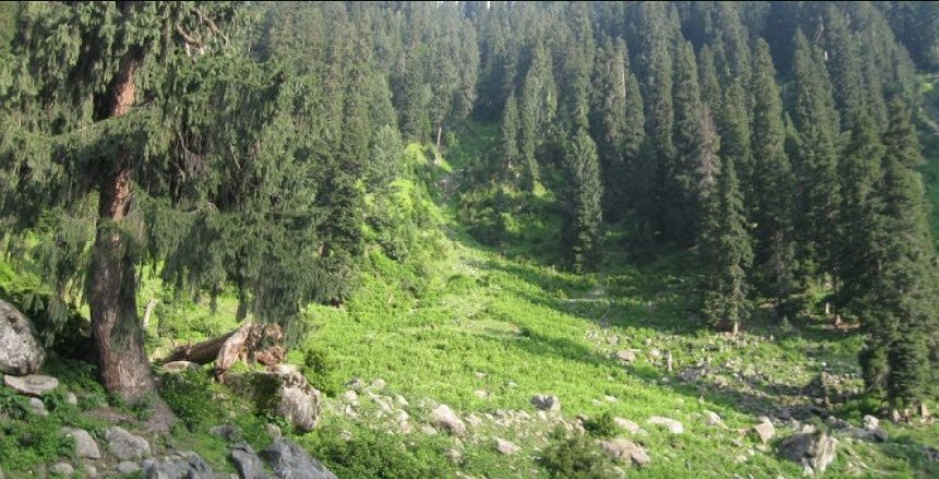 Hirpora Wildlife Sanctuary, Shopian, Jammu and Kashmir - Vushii.com Hirpora Wildlife Sanctuary, Shopian, Jammu and Kashmir - Vushii.com